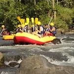 Dannu\'S Homestay & Ijen, Bromo, Meru Betiri Sukomade Tours