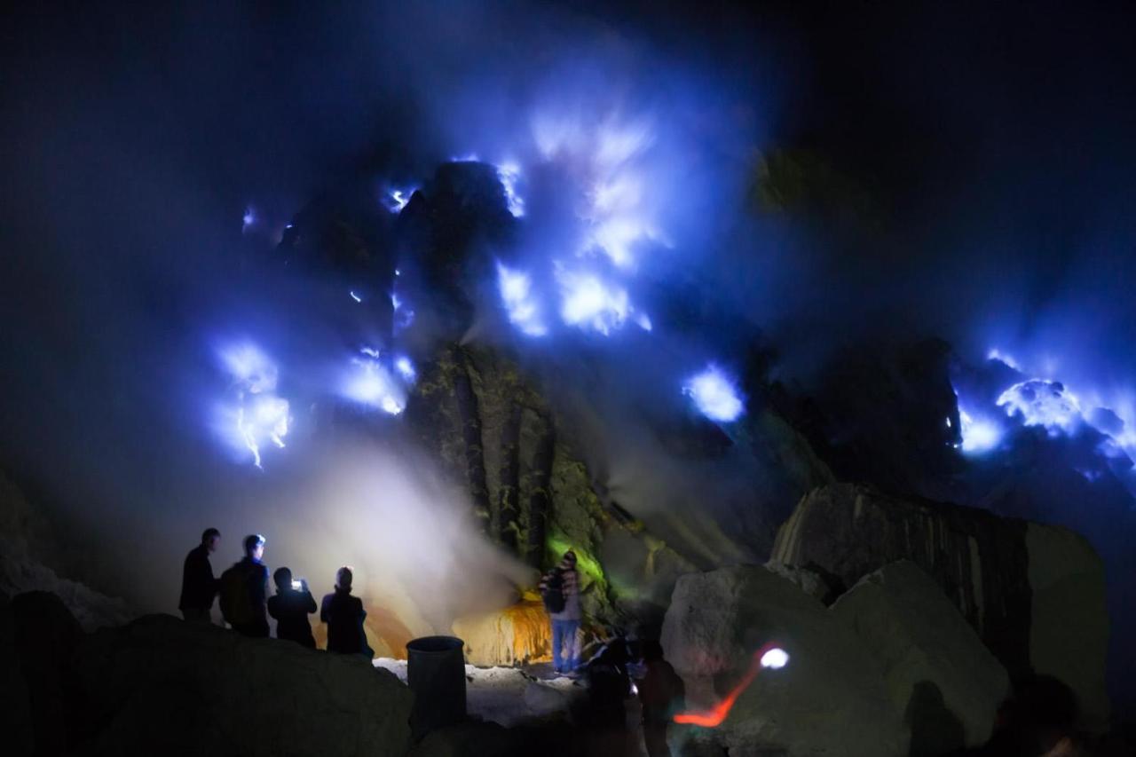 Dannu's & Ijen, Bromo, Meru Betiri Sukomade Tours * Banyuwangi (East Java)