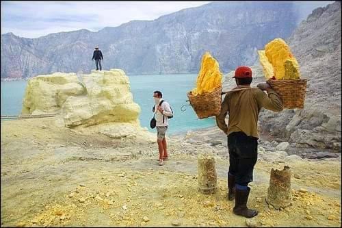 Dannu's & Ijen, Bromo, Meru Betiri Sukomade Tours * Banyuwangi (East Java)