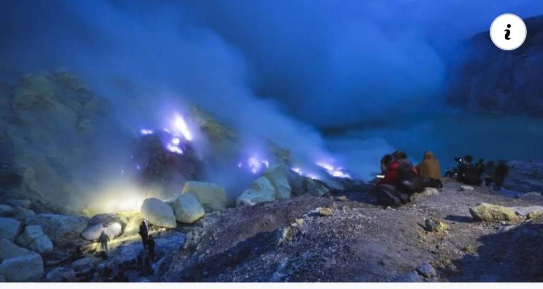 Dannu's & Ijen, Bromo, Meru Betiri Sukomade Tours Banyuwangi (East Java)