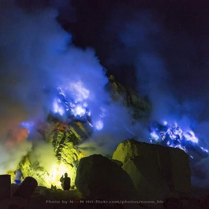 Dannu's & Ijen, Bromo, Meru Betiri Sukomade Tours *