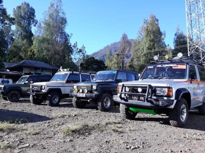 Homestay Dannu's & Ijen, Bromo, Meru Betiri Sukomade Tours