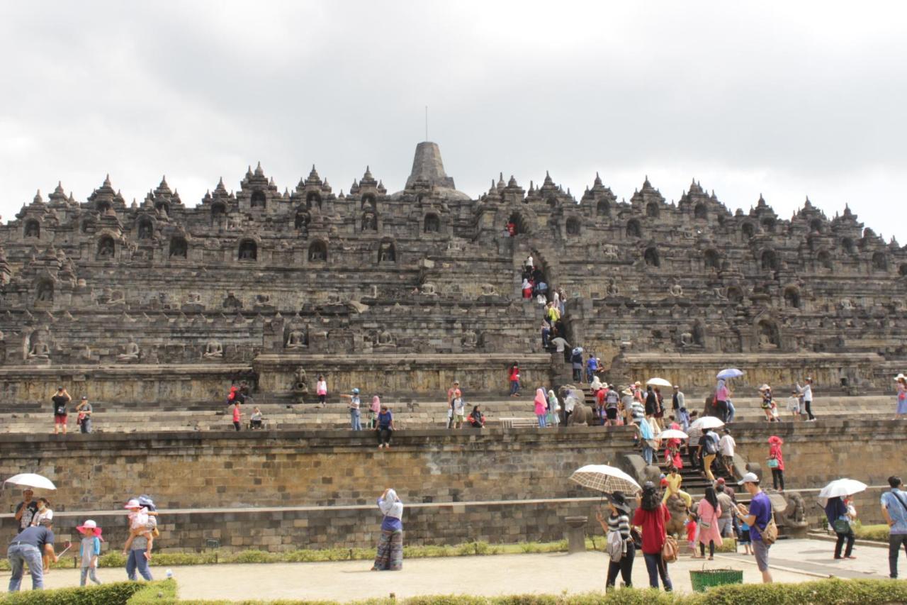 Homestay Dannu's & Ijen, Bromo, Meru Betiri Sukomade Tours Banyuwangi (East Java)