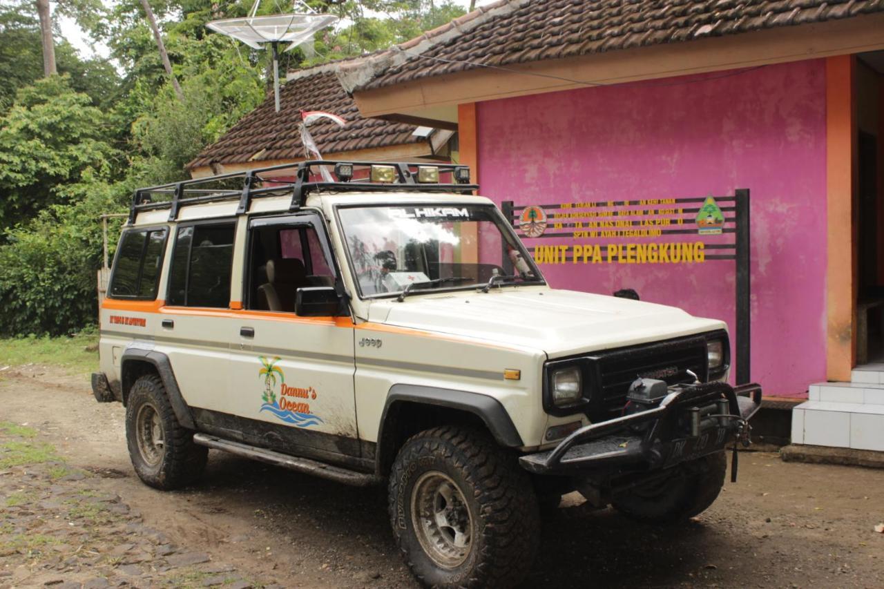Dannu's & Ijen, Bromo, Meru Betiri Sukomade Tours Homestay