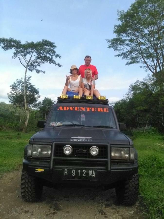 Dannu's & Ijen, Bromo, Meru Betiri Sukomade Tours Banyuwangi (East Java)
