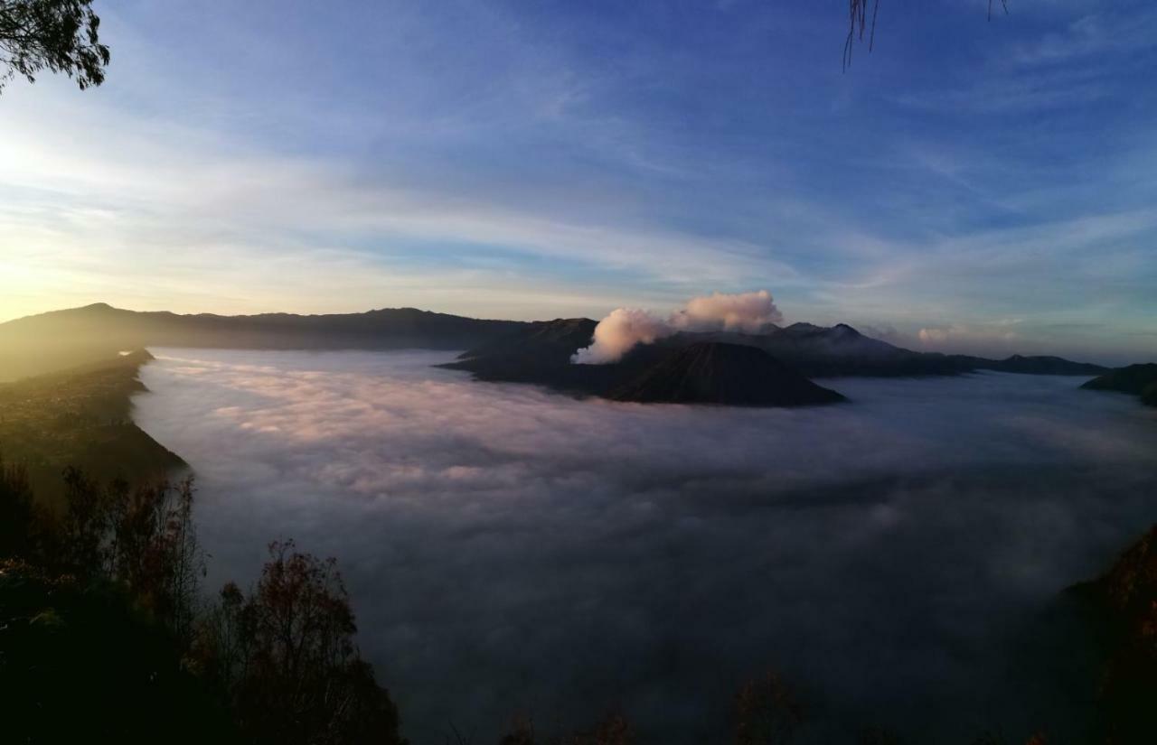Dannu's & Ijen, Bromo, Meru Betiri Sukomade Tours
